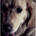 Photo from Street Mode Festival in Thermi, Thessaloniki - Greece