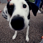 Photo from Street Mode Festival in Thermi, Thessaloniki - Greece