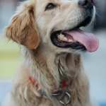 Street Mode Festival 2016 - Thessaloniki, Greece