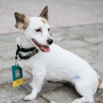 Street Mode Festival 2016 - Thessaloniki, Greece